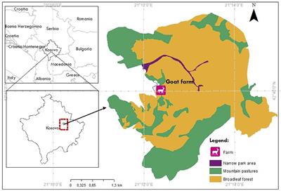 Somatic Cell Number, Physicochemical, and Microbiological Parameters of Raw Milk of Goats During the End of Lactation as Compared by Breeds and Number of Lactations